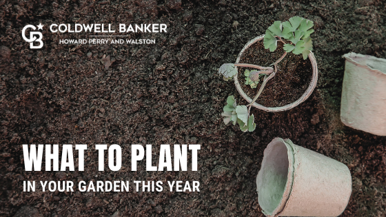 Garden Tips